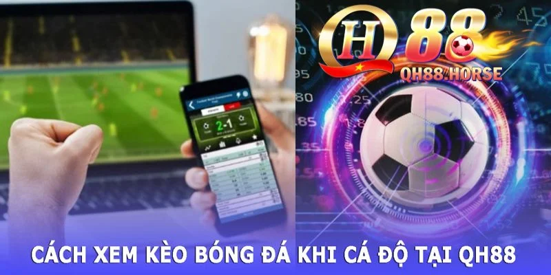 Hướng dẫn cách xem tỷ lệ cá cược kèo nhà cái chuẩn nhất